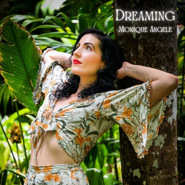 Cover art for Dreaming